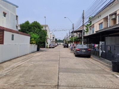 วิลเลต ไลท์ พัฒนาการ