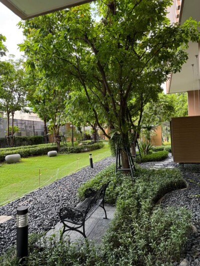 เอ็ม จตุจักร / M Jatujak-14