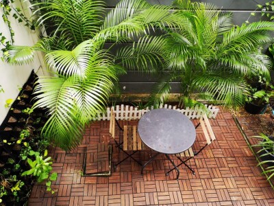 อาร์เด้น พัฒนาการ-14