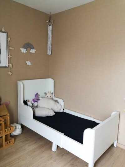 อาร์เด้น พัฒนาการ-10