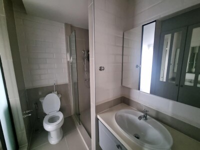 ดิ เอดิเตอร์ / The Editor