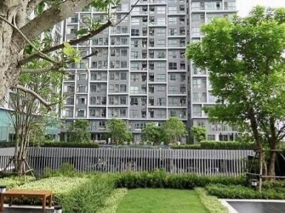 ไอดีโอ โมบิ สุขุมวิท (สุขุมวิท 81) / ขนาด : 43 ตรม.  ทิศ : ทิศเหนือ (วิวสระว่ายน้ำ)-17