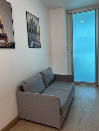 เดอะ คัลเลอร์รี่ วิวิด / The Colory Vivid-2