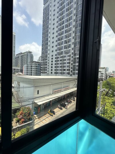 เดอะ คัลเลอร์รี่ วิวิด / The Colory Vivid-11