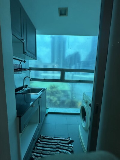 เดอะ คัลเลอร์รี่ วิวิด / The Colory Vivid-10