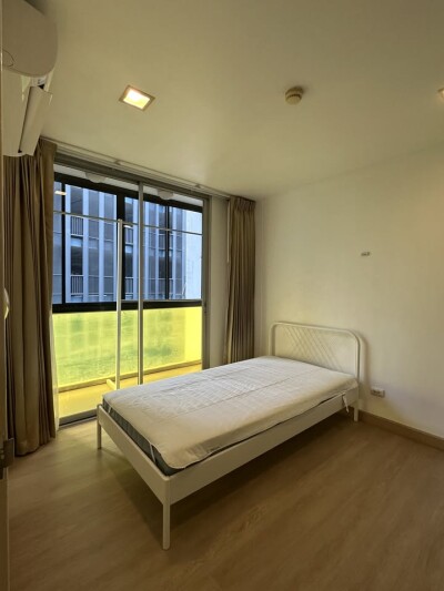 เดอะ คัลเลอร์รี่ วิวิด / The Colory Vivid-7