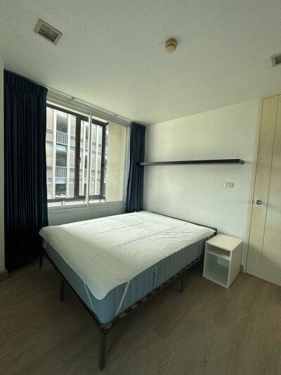 เดอะ คัลเลอร์รี่ วิวิด / The Colory Vivid-4