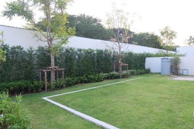 ชัยพฤกษ์ บางนา กม.15 / ขนาด 68.8 ตร.ว. อนุญาตเลี้ยงสัตว์-28