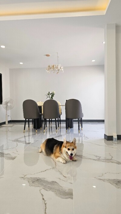 บ้านเดี่ยวรีโนเวทใหม่ทั้งหลัง ติดรถไฟฟ้า ซ.รามอินทรา 60  อนุญาตเลี้ยงสัตว์-23