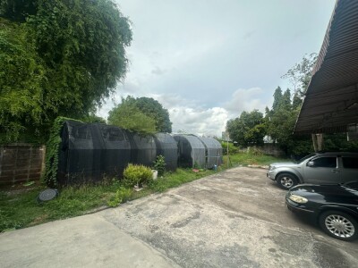 ปล่อยเช่าบ้านเดี่ยว 500ตรม. จอดรถได้ 20คัน ใกล้ BTS Bearing-3