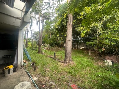 ปล่อยเช่าบ้านเดี่ยว 500ตรม. จอดรถได้ 20คัน ใกล้ BTS Bearing-7