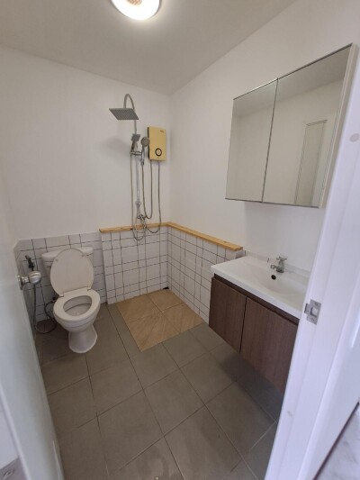 วิลเลต ไลท์ พัฒนาการ