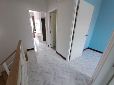 วิลเลต ไลท์ พัฒนาการ