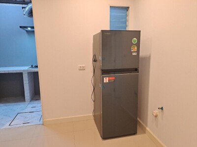 วิลเลต ไลท์ พัฒนาการ