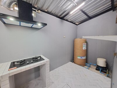 วิลเลต ไลท์ พัฒนาการ