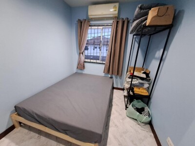 วิลเลต ไลท์ พัฒนาการ