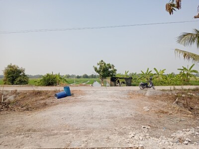 ขายที่ดินติดคลองทวีวัฒนา ที่ดิน นนทบุรี ไทรใหญ่ ไทรน้อย บางเลน นครปฐม นราภิรมย์ พุทธมณฑล-7