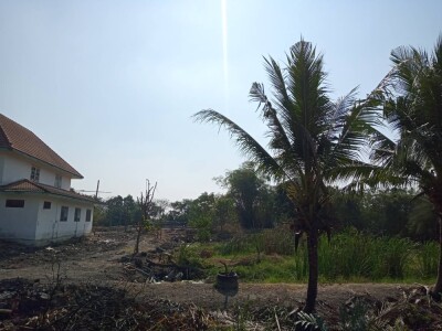 ขายที่ดินติดคลองทวีวัฒนา ที่ดิน นนทบุรี ไทรใหญ่ ไทรน้อย บางเลน นครปฐม นราภิรมย์ พุทธมณฑล-2