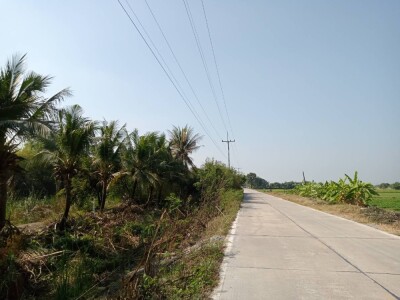 ขายที่ดินติดคลองทวีวัฒนา ที่ดิน นนทบุรี ไทรใหญ่ ไทรน้อย บางเลน นครปฐม นราภิรมย์ พุทธมณฑล-6
