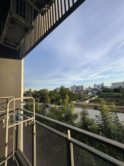 บริกซ์ตัน เพ็ทแอนด์เพลย์ สุขุมวิท 107 / BRIXTON Pet&Play Sukhumvit 107-10