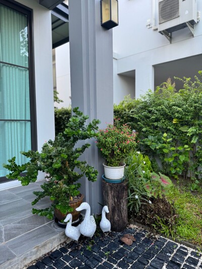 สราญสิริ รามคำแหง / 🛏 รายละเอียดบ้าน:  3 ห้องนอน  1 ห้องทำงาน (สามารถปรับเป็นห้องนอนเพิ่มได้)  3 ห้องน้ำ-3