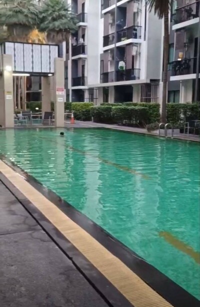 ไอคอนโด สุขุมวิท 105 / iCondo Sukhumvit 105