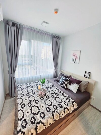 พลัมคอนโด สุขมวิท 62 / Plum Condo Sukhumvit 62-3