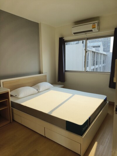 มายคอนโด สุขุมวิท 81 / My Condo Sukhumvit 81