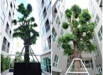 เทมโป ควอด พหลโยธิน - สะพานใหม่ / Tempo Quad Phaholyothin - Saphanmai