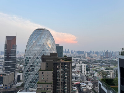 โนเบิล นิว อีโว อารีย์ / Noble Nue Evo Ari