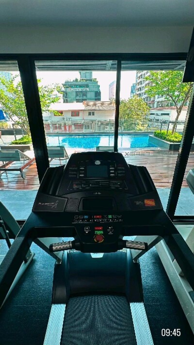 โนเบิล รีเฟลกซ์ / Noble Reflex