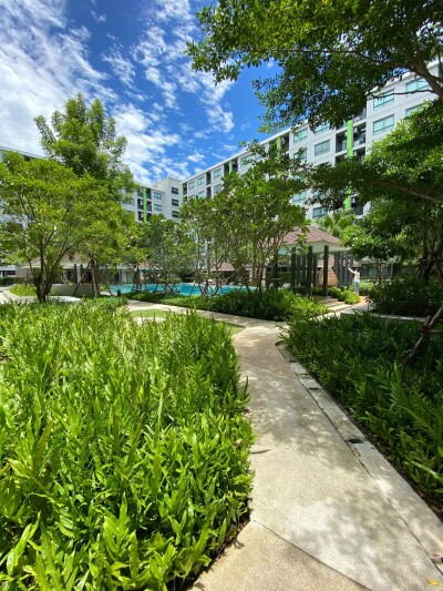 กรีเน่ ดอนเมือง - สรงประภา / Grene Donmuang - Songprapha