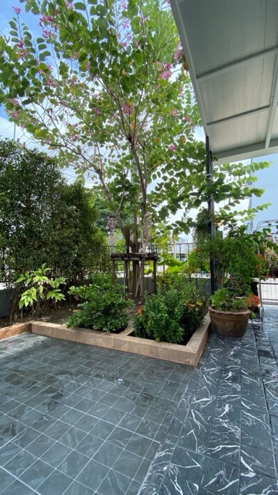 อัพเดทล่าสุด 7/7/2568 : อินดี้ 2 บางนา - รามคำแหง 2 / พื้นที่ใช้สอย: 160 ตร.ม.  จำนวนชั้น: 3 ชั้น