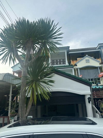 ทาวเฮ้าส์ 3 ชั้น พร้อมอยู่ พุทธมณฑลสาย 5