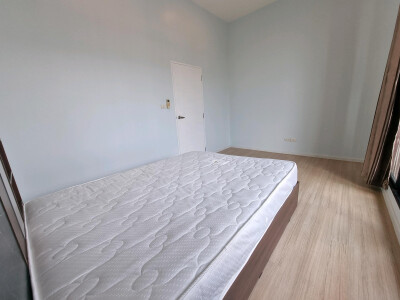 บ้านกลางเมือง กัลปพฤกษ์