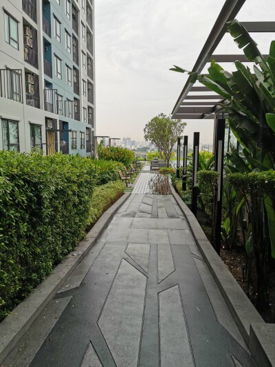 ริชพาร์ค แอท ทริปเปิ้ล สเตชั่น / 🛏 1 ห้องนอน 📐 ขนาด 35 ตร.ม. 🏞 ชั้นสระว่ายน้ำ | ทิศเหนือ | วิวสระว่ายน้ำ-12