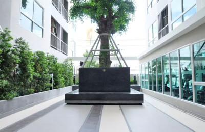 เทมโป ควอด พหลโยธิน - สะพานใหม่ / Tempo Quad Phaholyothin - Saphanmai