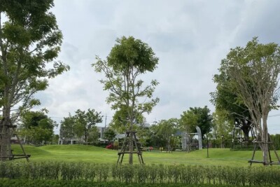 พลีโน่ สุขุมวิท บางนา 3