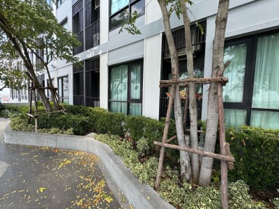 ไนท์บริดจ์ สุขุมวิท - เทพารักษ์ / Knightsbridge Sukhumvit - Thepharak-15