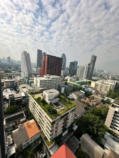 โนเบิล รีเฟลกซ์ / Noble Reflex