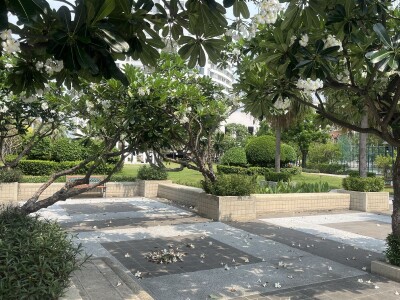 ริเวอร์ เฮเว่น (เจริญกรุง 76/1) / พื้นที่ประมาณ 63 ตรม รวมระเบียง