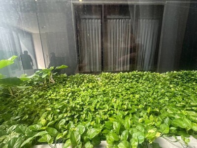 แอชตัน สีลม / 1 ห้องนอน | 1 ห้องน้ำ  ขนาด 50 ตร.ม.