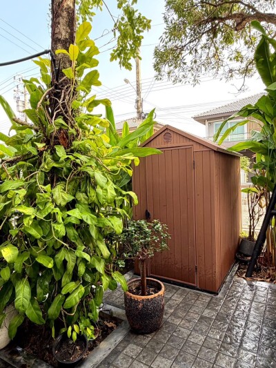 พฤกษ์ลดา วงแหวน - หทัยราษฏร์