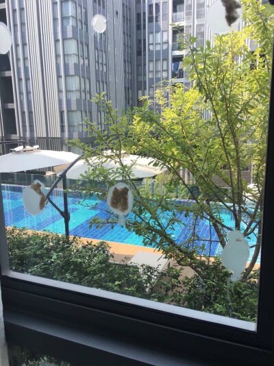 โมนีค สุขุมวิท 64 / 32 ตรม. #123/232 3 ชั้น