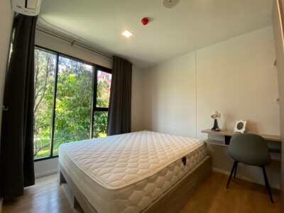 อัพเดทล่าสุด 6/8/2568 : เคฟ ทียู ธรรมศาสตร์ /  Kave TU-4