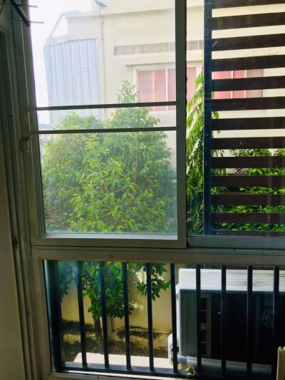 รีเจ้นท์ โฮม 13 สุขุมวิท 93 / Regent Home 13 Sukhumvit 93-8