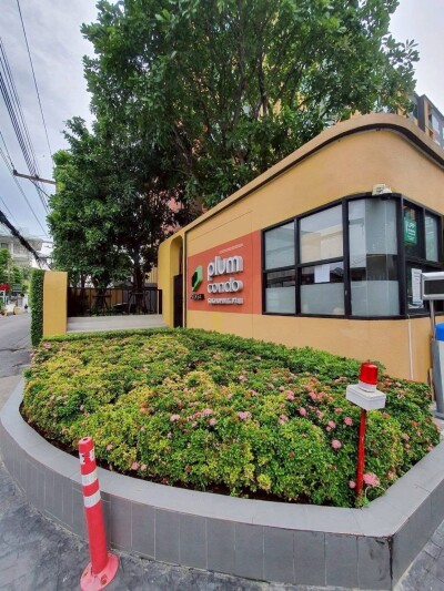 พลัมคอนโด สุขุมวิท 97.1 / Plum Condo Sukhumvit 97.1-7