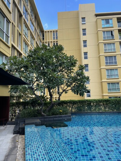 อัเดตล่าสุด 1/11/2568 : ไฮฟ์ สุขุมวิท 65 / Hive Sukhumvit 65-13