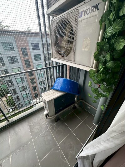 พรีมิโอ เฟรสโก / Premio Fresco-22