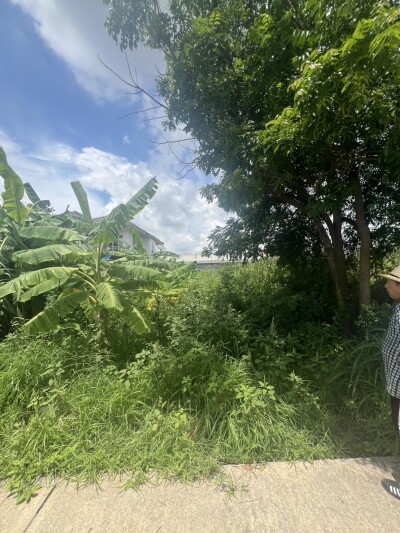 🟢 ขายที่ดินเปล่าถมแล้ว – ปทุมธานี (สามโคก)